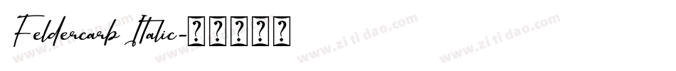 Feldercarb Italic字体转换
